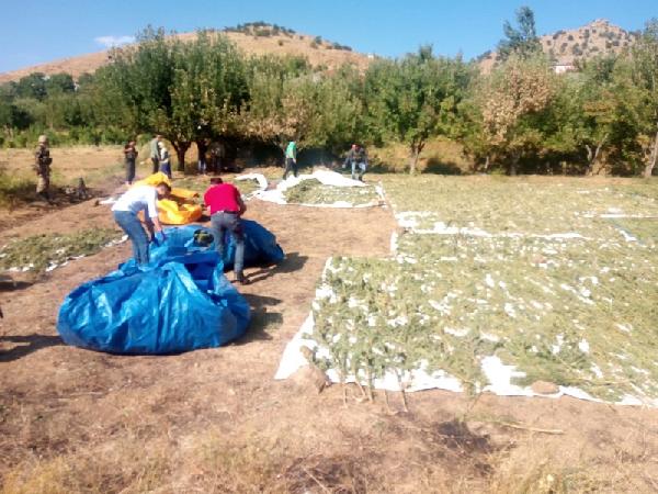 Bingöl'de 2 ton 700 kilo uyuşturucu ele geçirildi